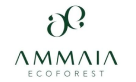 Ammaia